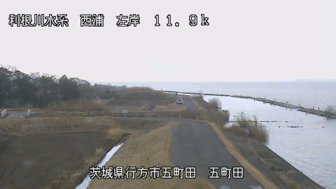 seigan2026020210_image