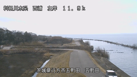 seigan2026020211_image