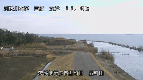 seigan2026020213_image