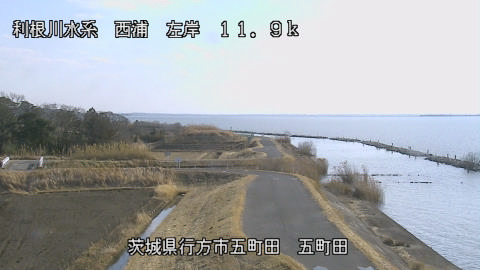 seigan2026020214_image