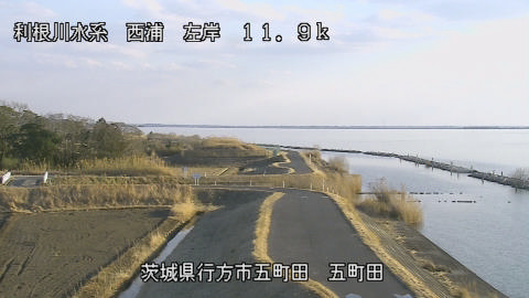 seigan2026020216_image