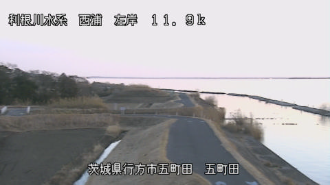 seigan2026020217_image