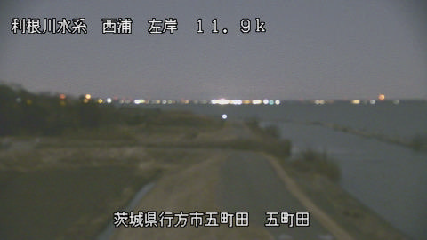 seigan2026020300_image