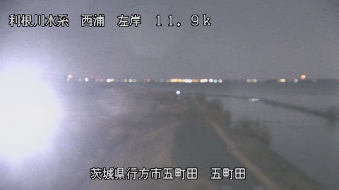 seigan2026020303_image