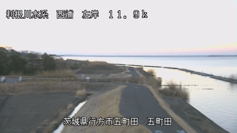 seigan2026020307_image