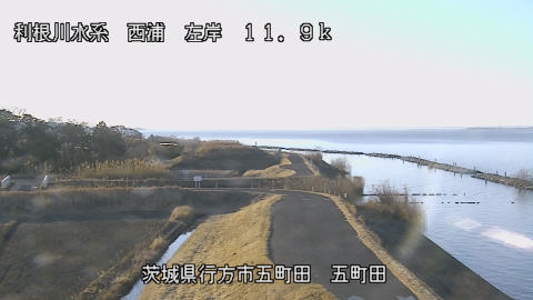 seigan2026020308_image