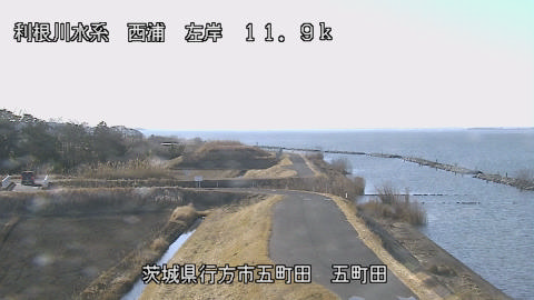 seigan2026020309_image