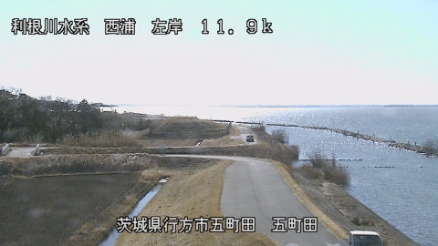 seigan2026020311_image