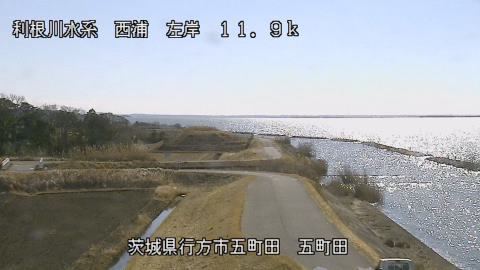 seigan2026020312_image