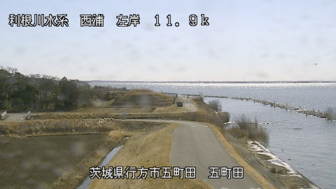 seigan2026021912_image