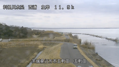 seigan2026022012_image