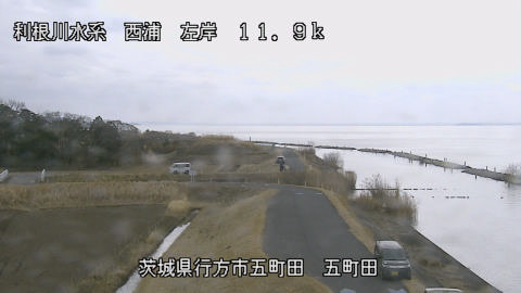 seigan2026022112_image