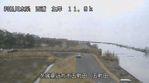 seigan2026022212_image