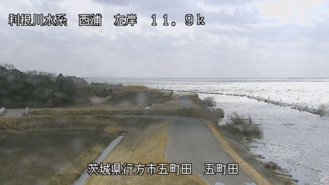 seigan2026022312_image