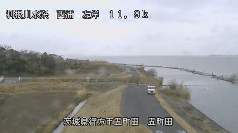 seigan2026022412_image