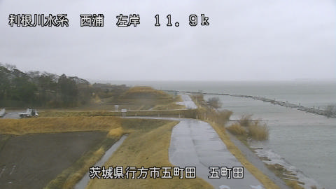 seigan2026022512_image