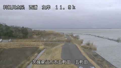 seigan2026022612_image