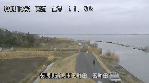 seigan2026022712_image