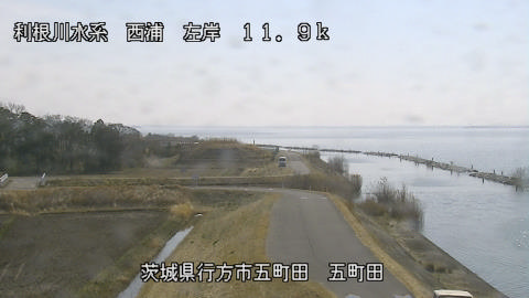 seigan2026022812_image