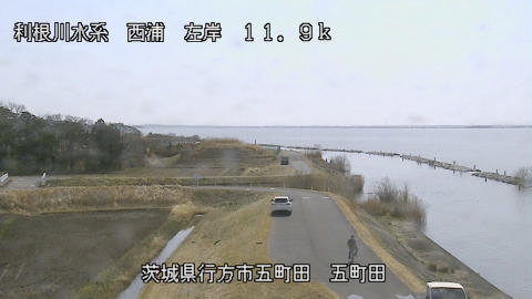 seigan2026030112_image