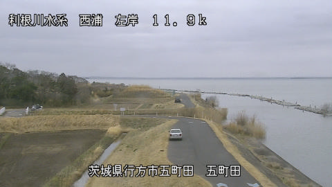 seigan2026030212_image