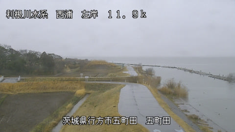 seigan2026030312_image