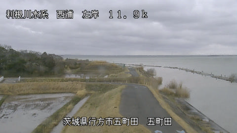 seigan2026030412_image