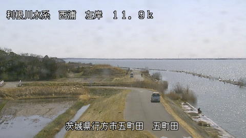 seigan2026030512_image