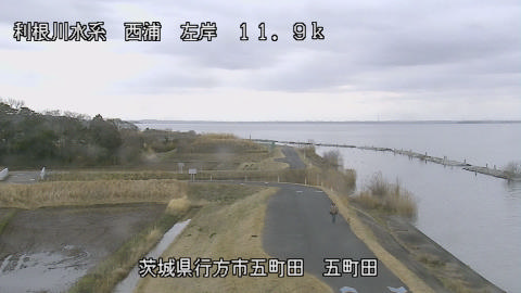 seigan2026030612_image