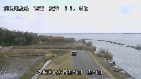 seigan2026030712_image