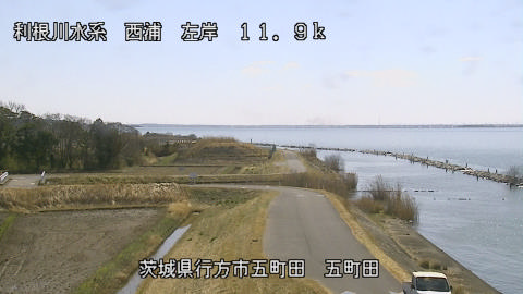 seigan2026030812_image