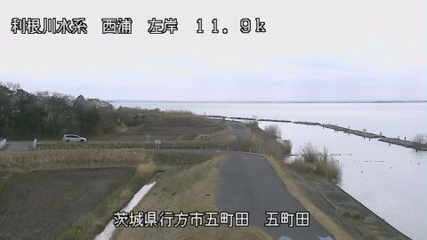 seigan2026030912_image