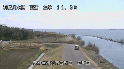 seigan2026031112_image