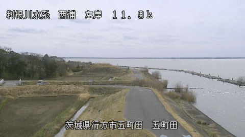 seigan2026031312_image