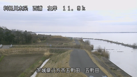 seigan2026031612_image