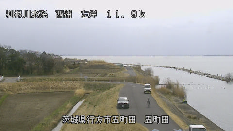 seigan2026031712_image