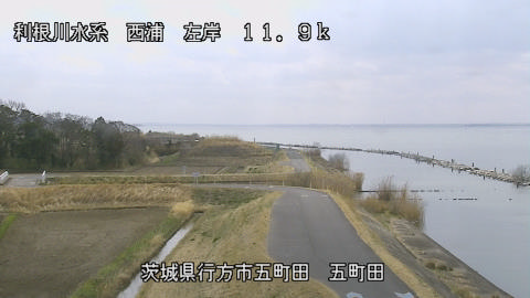 seigan2026031812_image