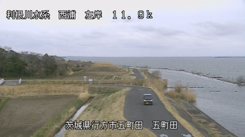 seigan2026031817_image