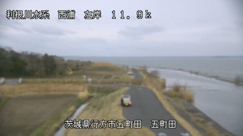 seigan2026031818_image