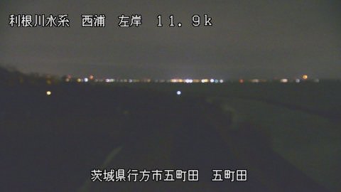 seigan2026031902_image