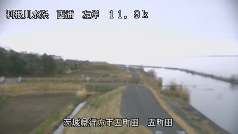 seigan2026031906_image