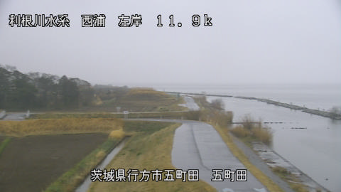 seigan2026031908_image