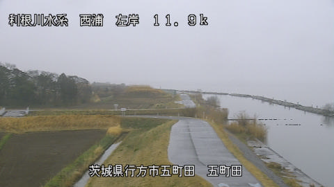 seigan2026031909_image