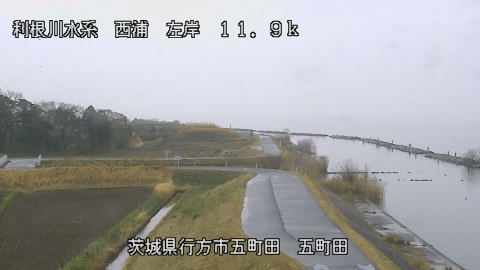 seigan2026031910_image