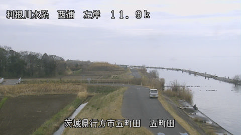 seigan2026031912_image