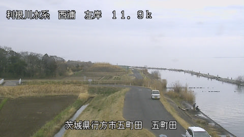 seigan2026031913_image