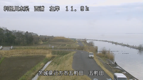 seigan2026031914_image