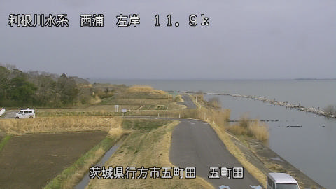 seigan2026031916_image