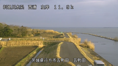 seigan2026031917_image