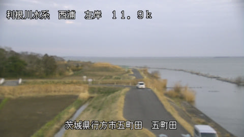 seigan2026031918_image